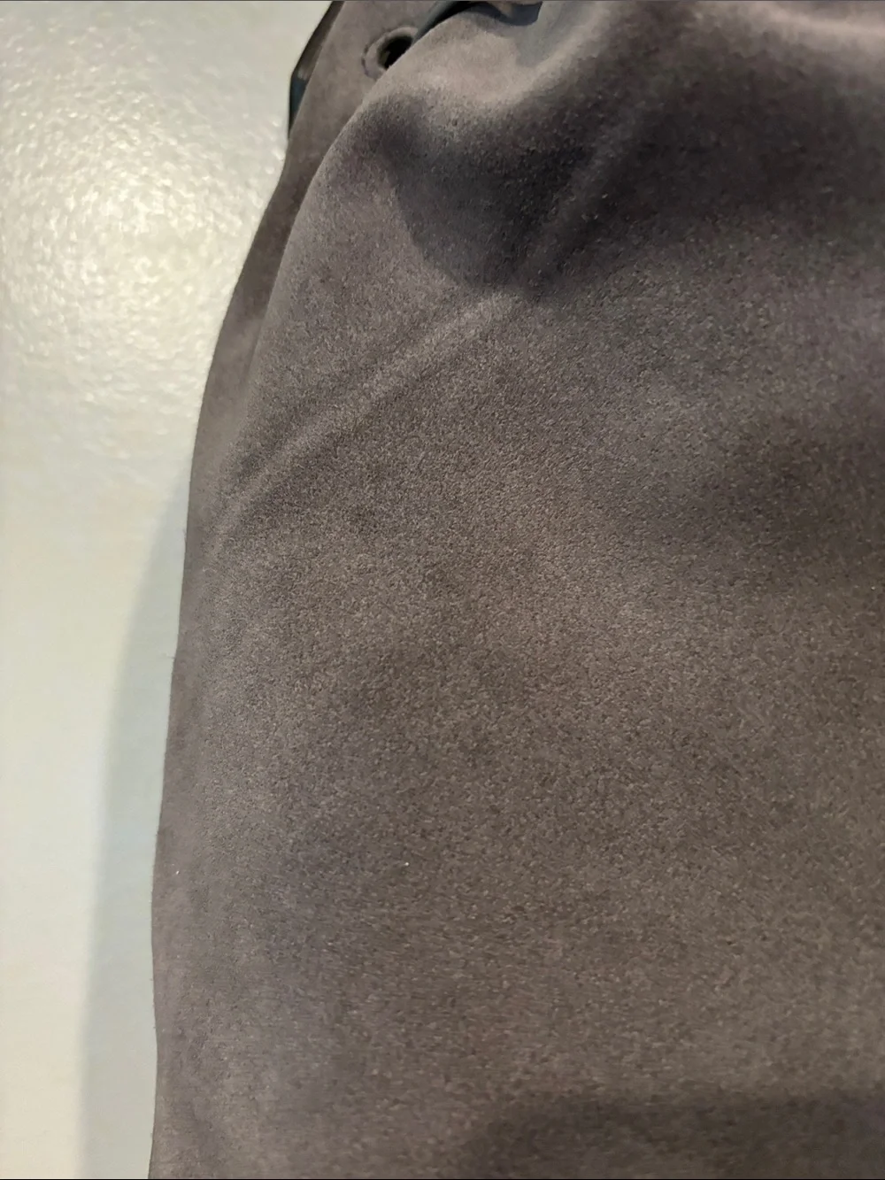 Elizabeth and James suede purse/backpack